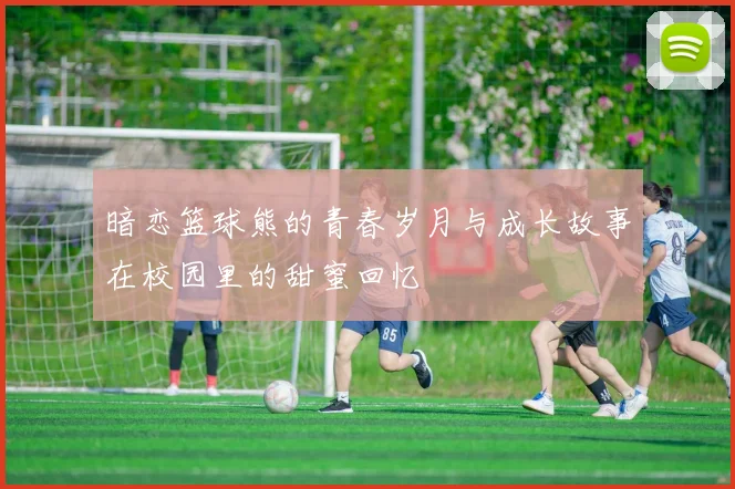 暗恋篮球熊的青春岁月与成长故事在校园里的甜蜜回忆