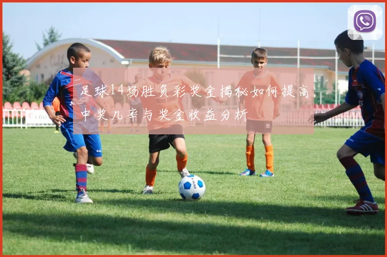 足球14场胜负彩奖金揭秘如何提高中奖几率与奖金收益分析