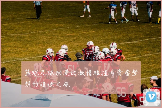 篮球足球动漫的激情碰撞与青春梦想的追逐之旅