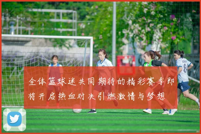 全体篮球迷共同期待的精彩赛季即将开启热血对决引燃激情与梦想