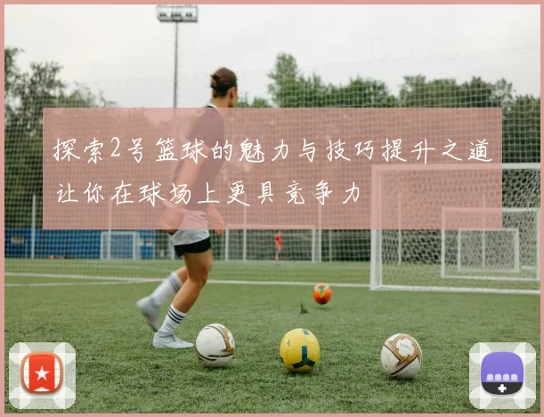探索2号篮球的魅力与技巧提升之道让你在球场上更具竞争力