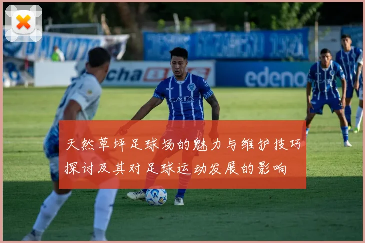 天然草坪足球场的魅力与维护技巧探讨及其对足球运动发展的影响