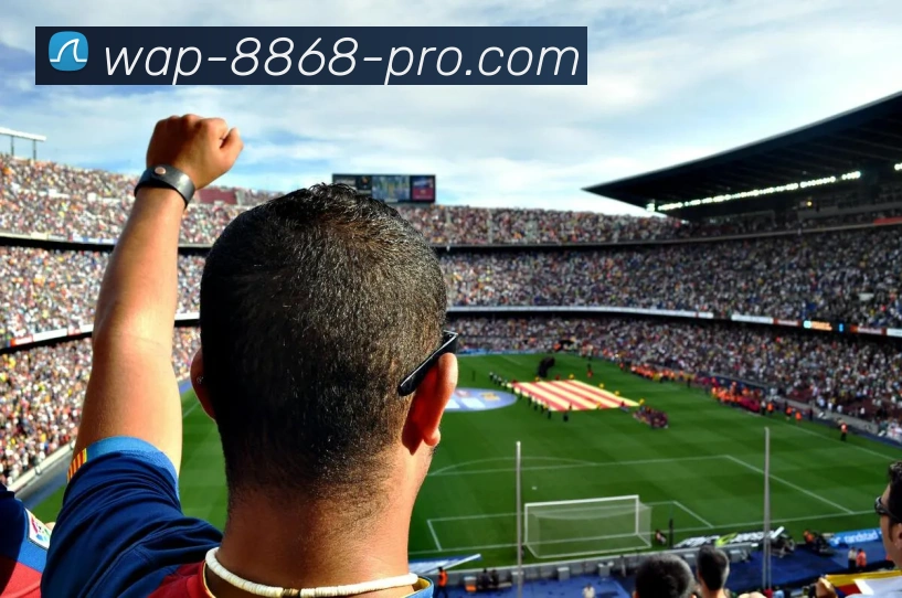 在线投注服务体系